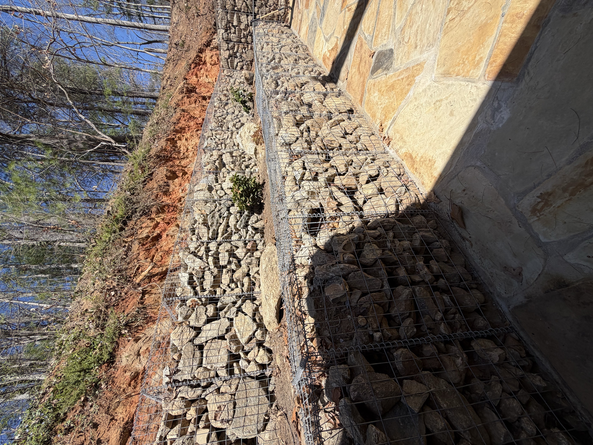 Finished gabion retaining wall holding a wooded slope, flagstone patio in front — built by Terra Builders AVL